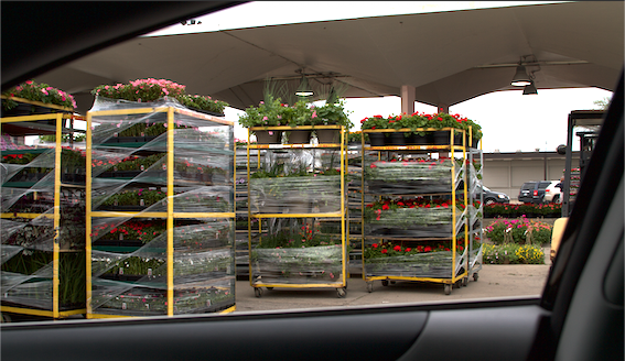 Flower Racks Eastern Market Detroit 4